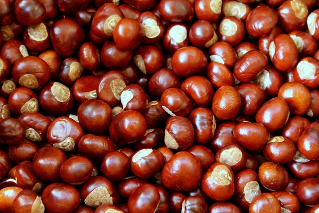 Chestnuts 4500209